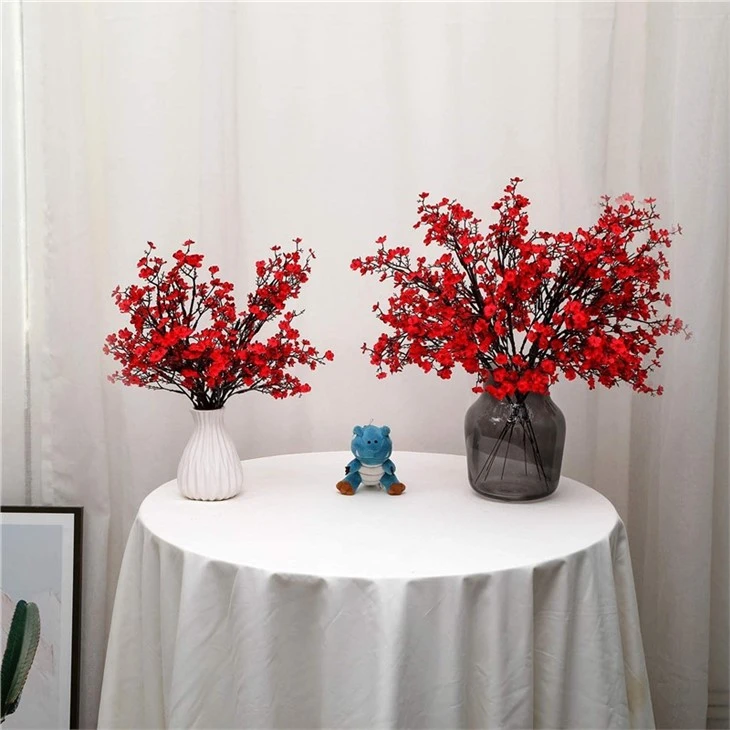 dried babys breath