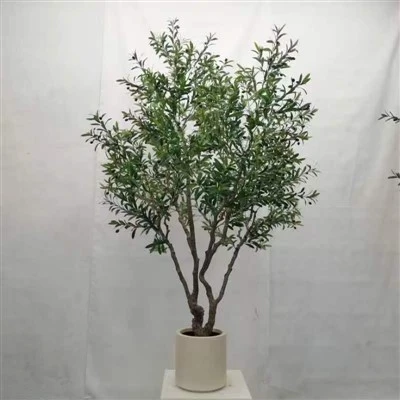 250 cm Olive Tree KD